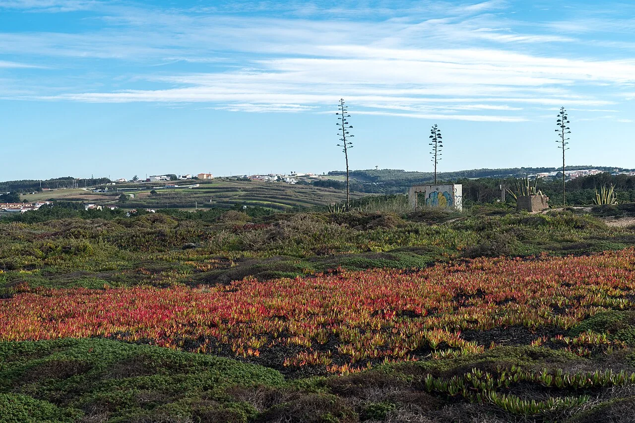 Photo of A dos Cunhados