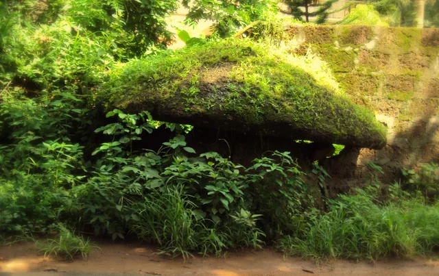 Photo of Abdu Rahiman Nagar