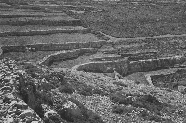 Photo of Abū Qashsh