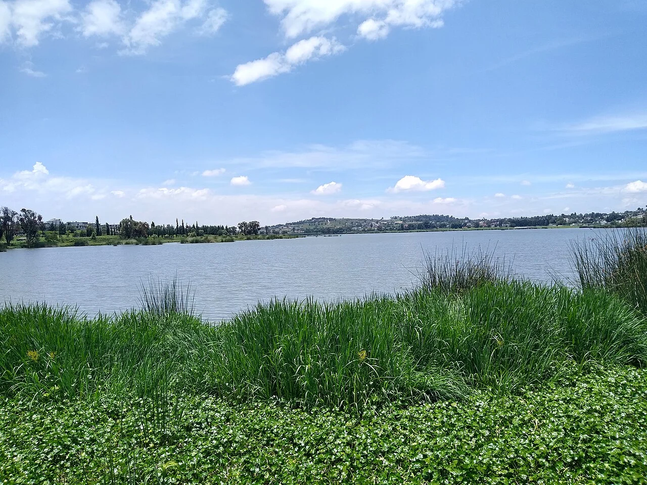 Photo of Acuitlapilco