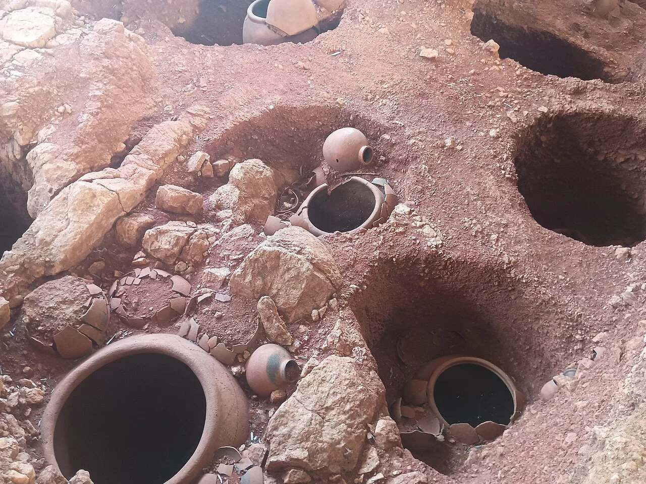 Photo of Adichānallūr