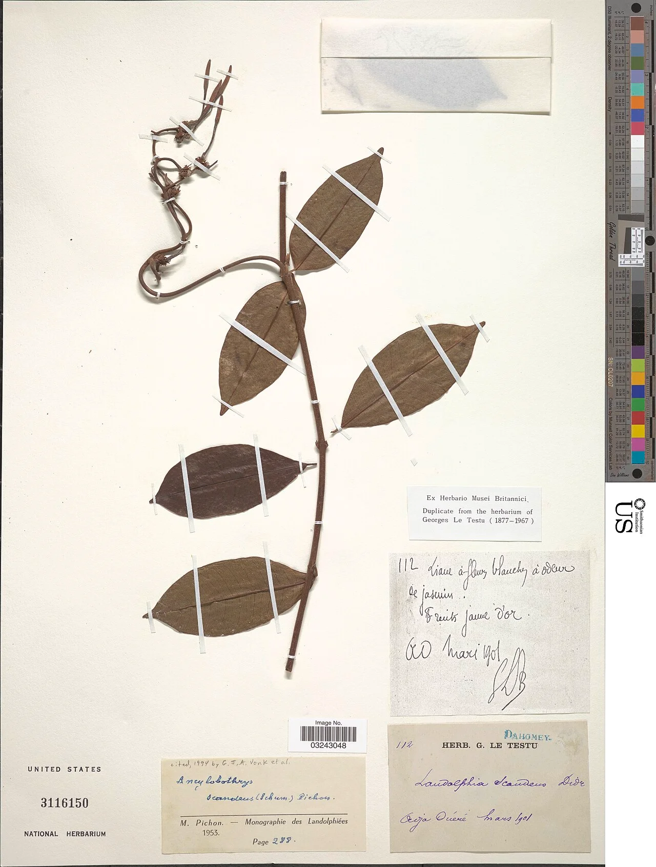 Photo of Adjaouèrè