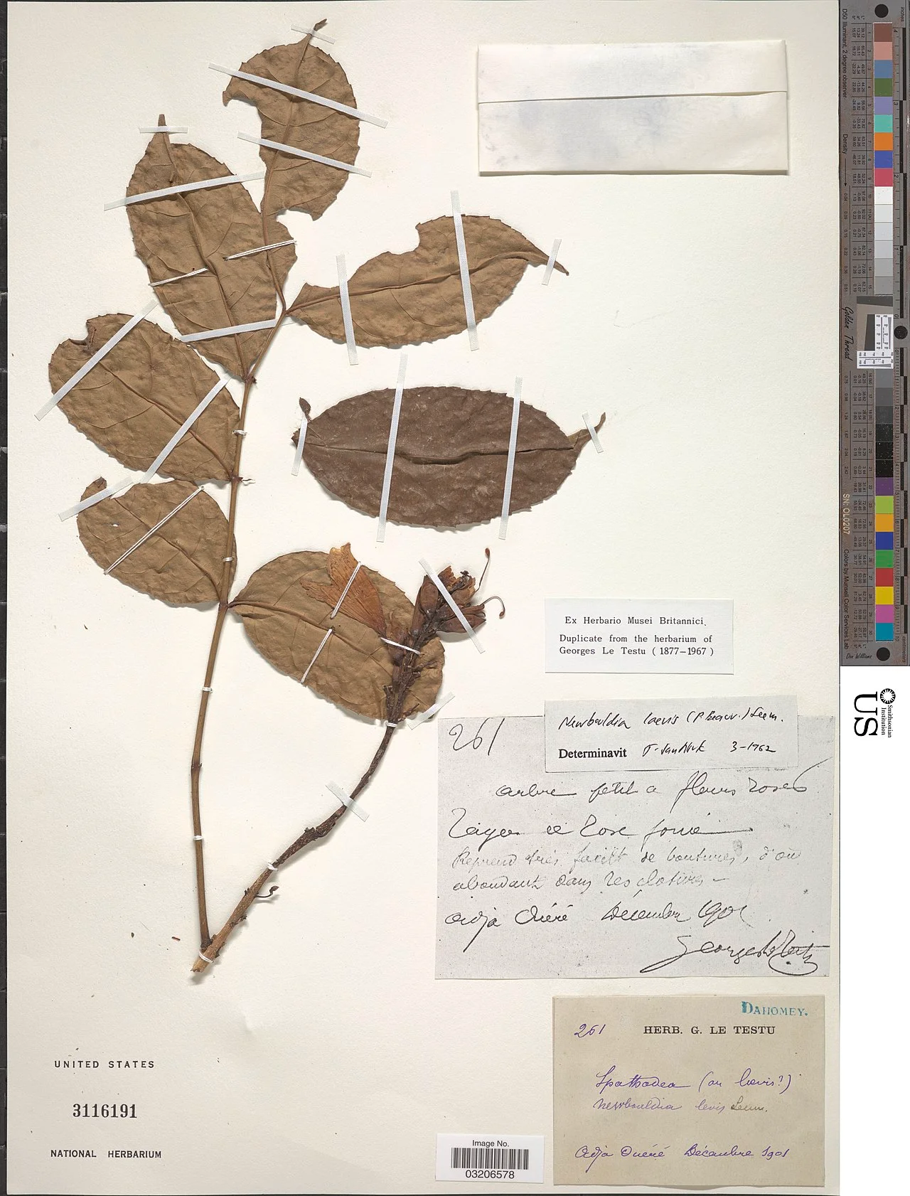 Photo of Adjaouèrè