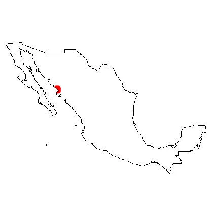 Photo of Agiabampo Uno