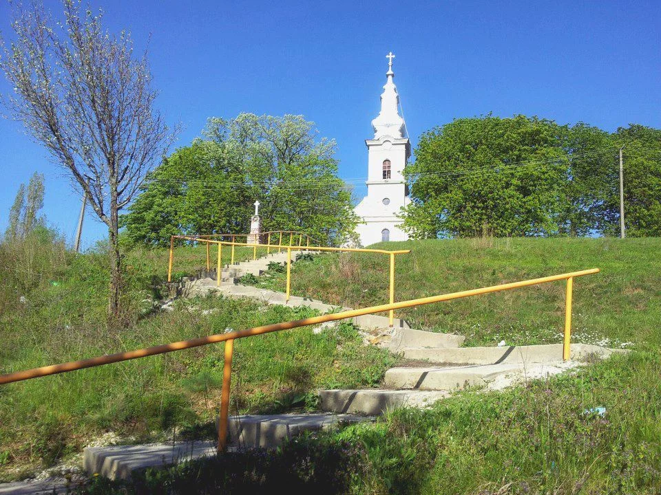 Photo of Agrișu Mare