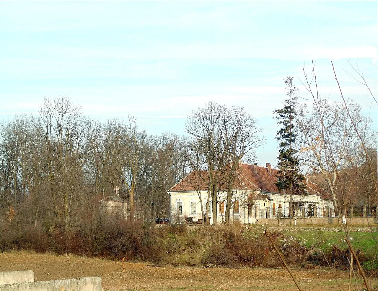 Photo of Agrișu Mare