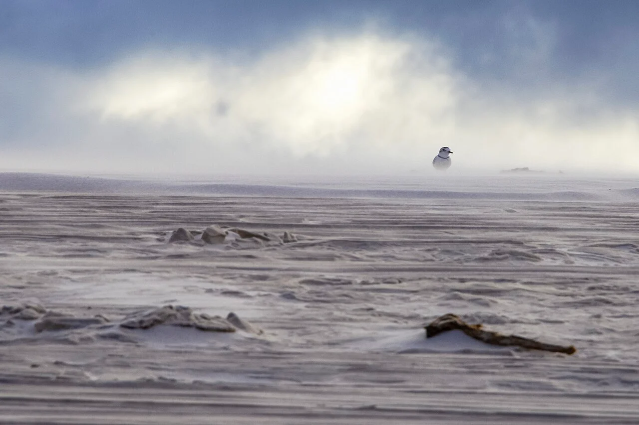 Photo of Água Doce do Maranhão