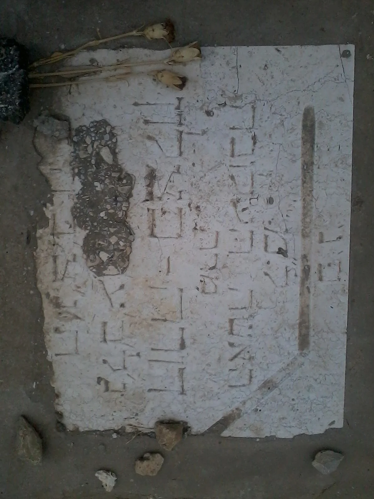 Photo of Aẖi‘ezer