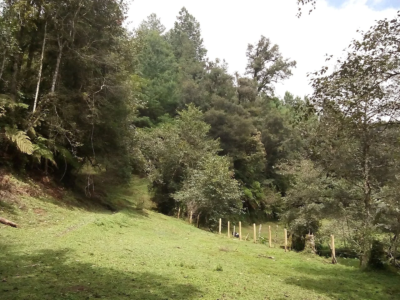 Photo of Ahueyahualco