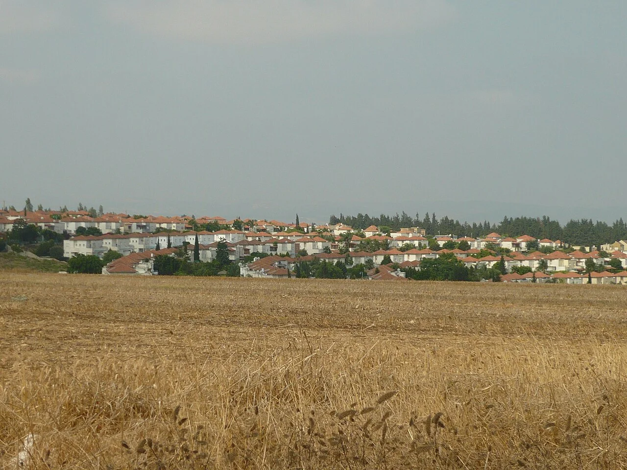Photo of Aẖuzzat Baraq