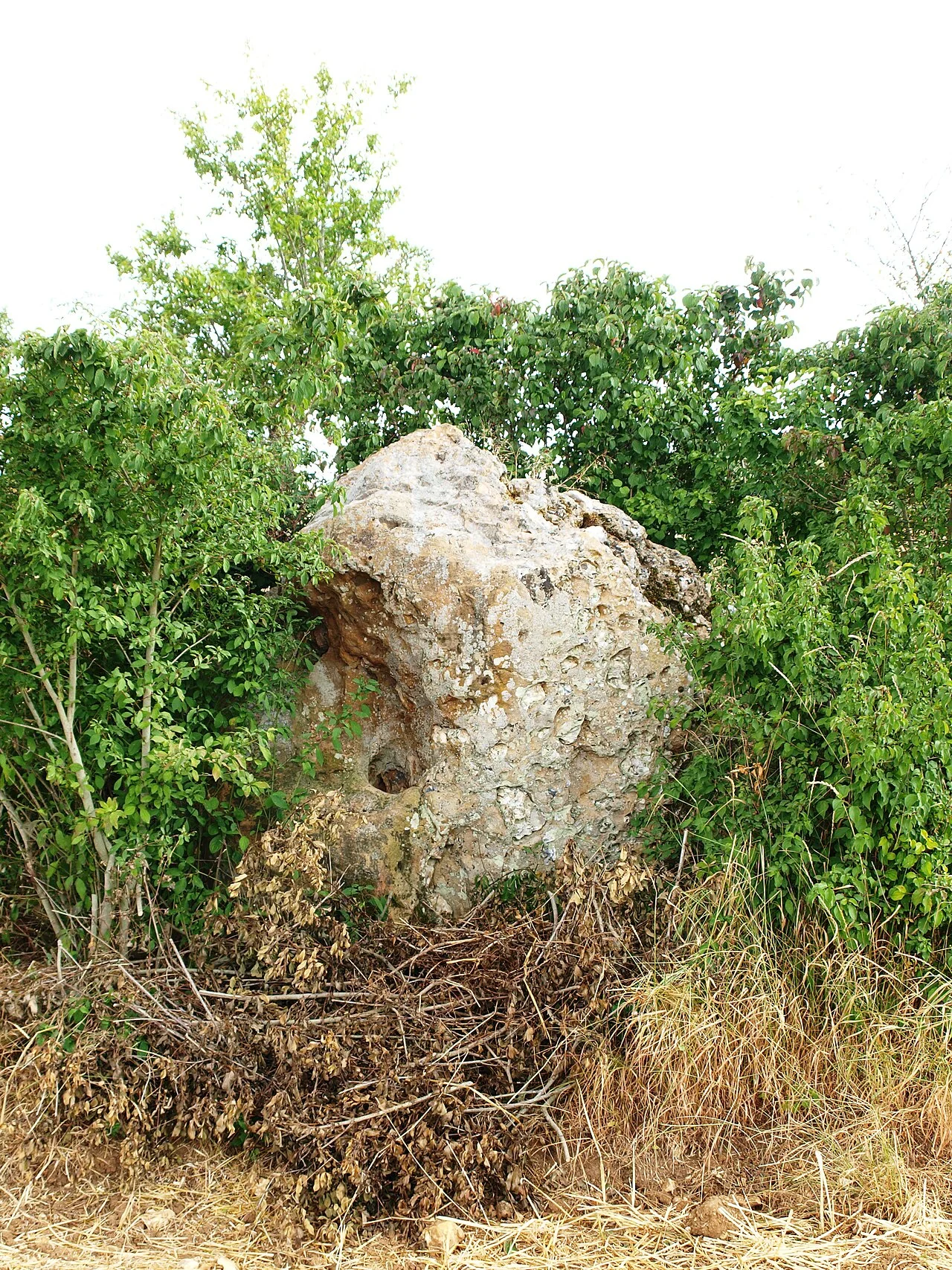 Photo of Aillant-sur-Tholon