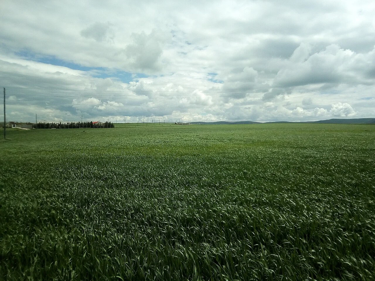 Photo of ’Aïn Abid