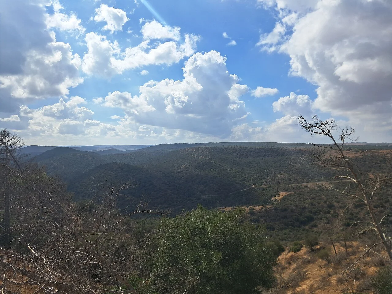 Photo of Ain El Aouda