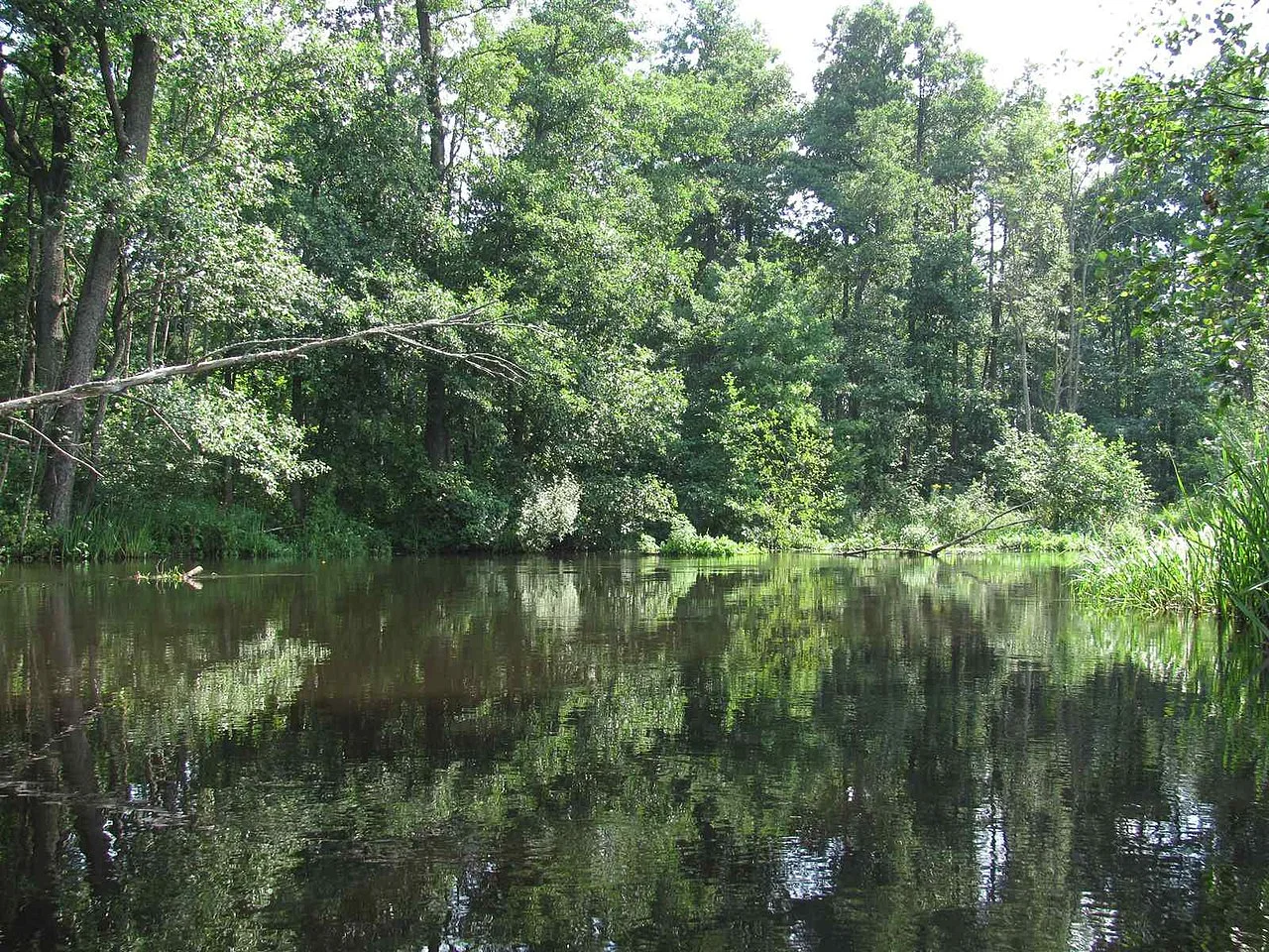 Photo of Aktsyabrski