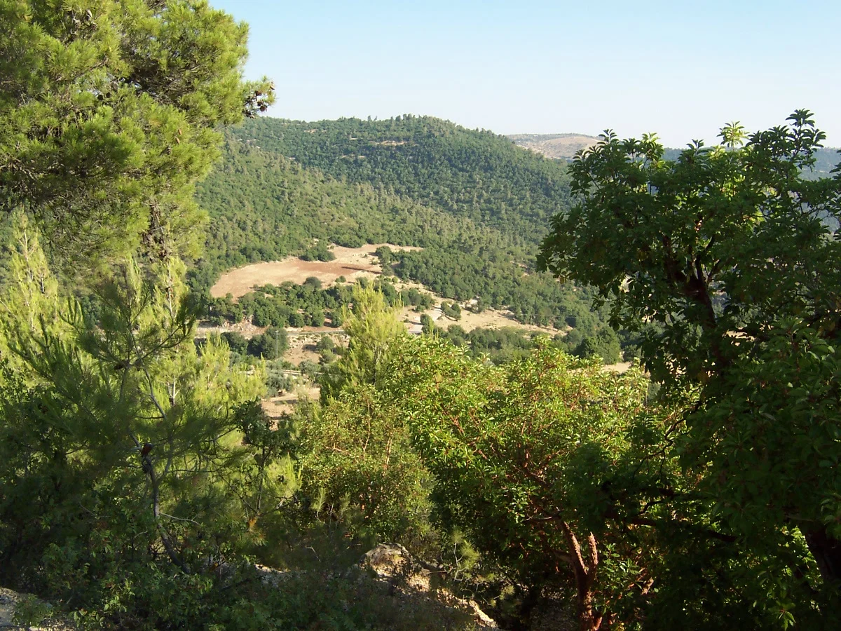 Photo of Al ‘Arīḑ
