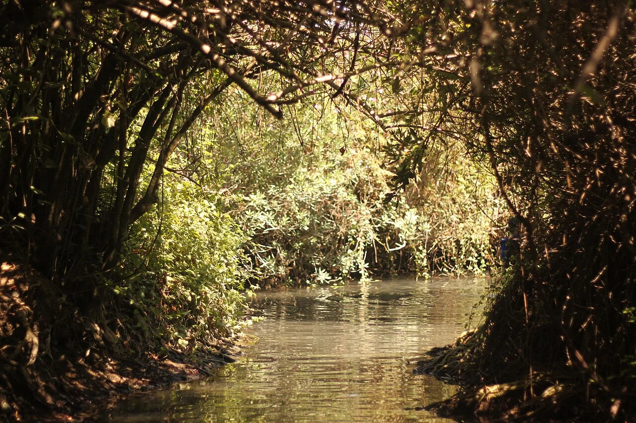 Photo of Al Buţayḩah