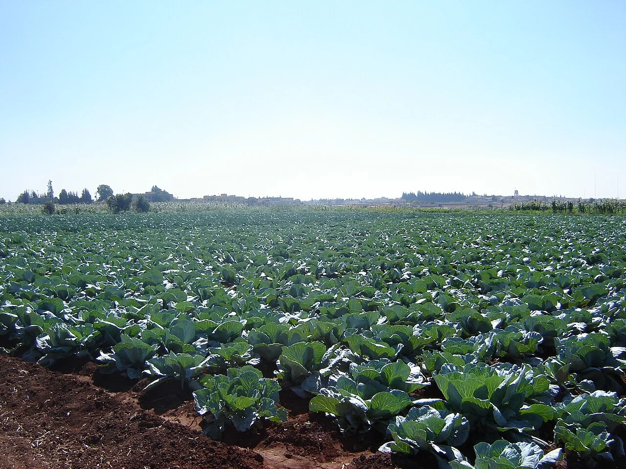 Photo of Al Ghanţū