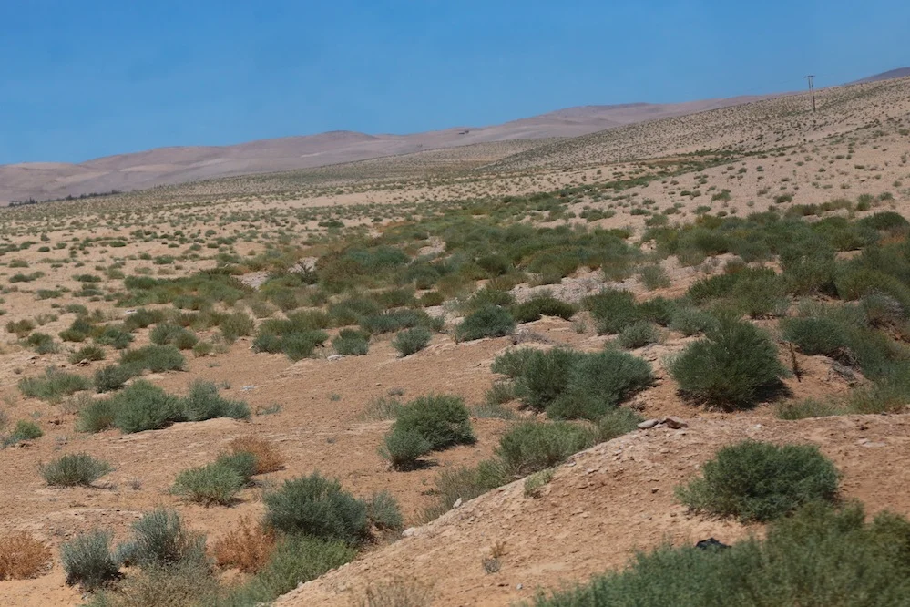 Photo of Al Ḩusaynīyah