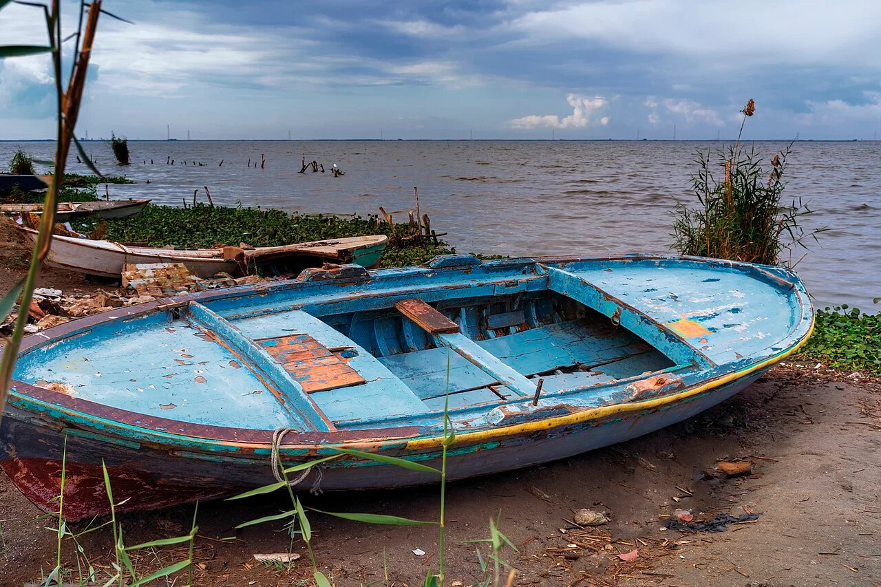 Photo of Al Manzalah