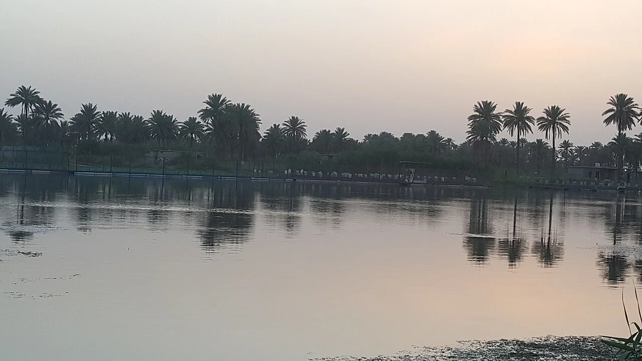 Photo of Al Musayyib