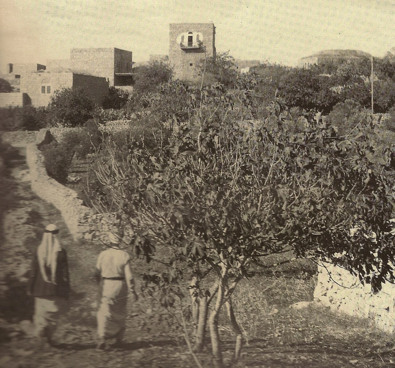 Photo of Al Qubaybah