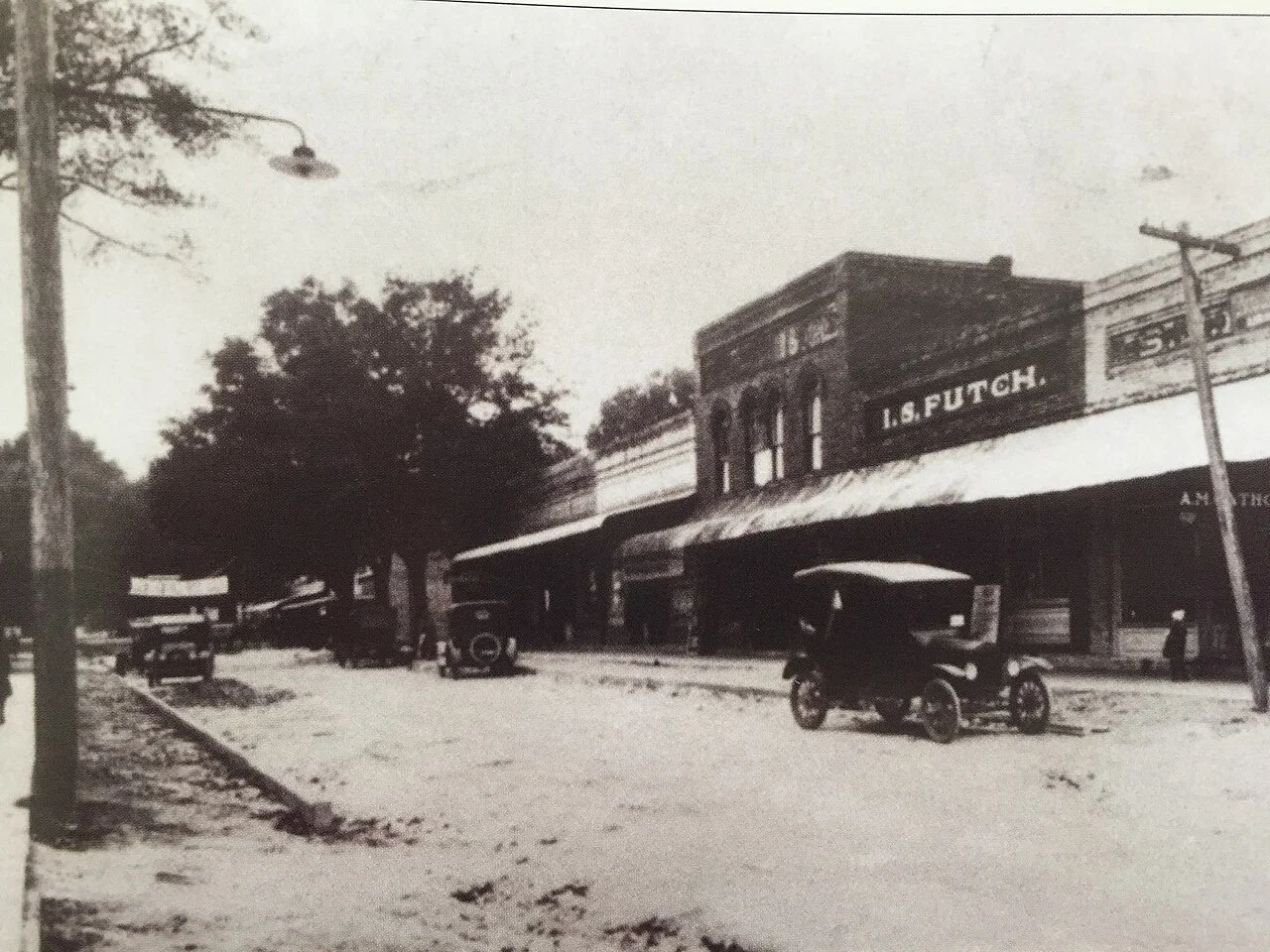 Photo of Alachua