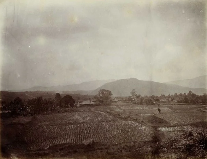 Photo of Alahanpanjang