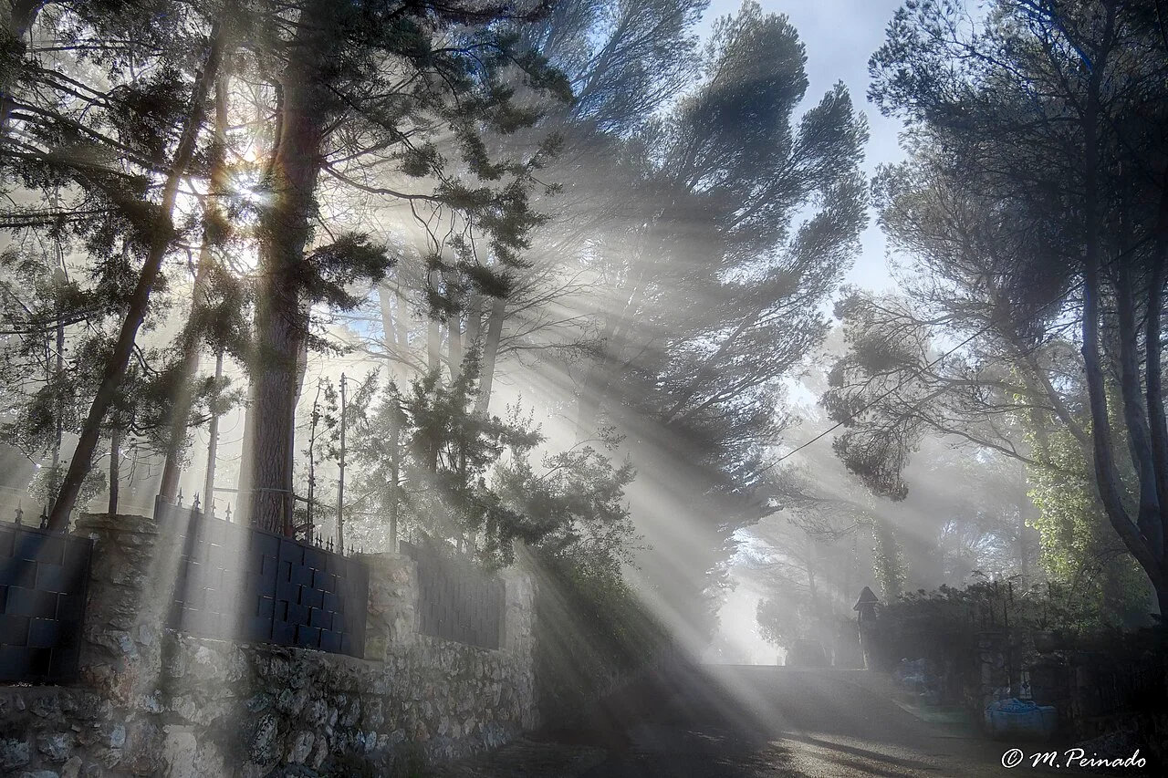 Photo of Albalate de Zorita