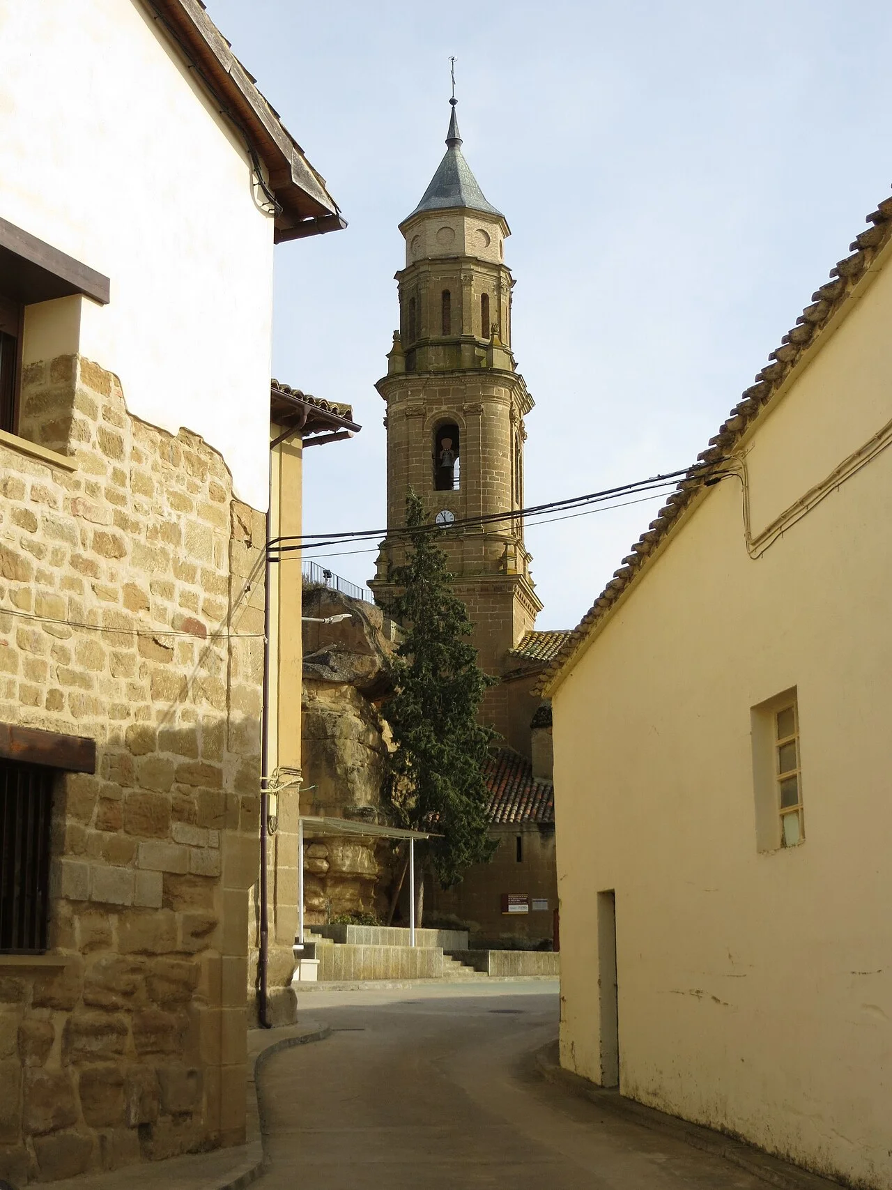 Photo of Albero Alto