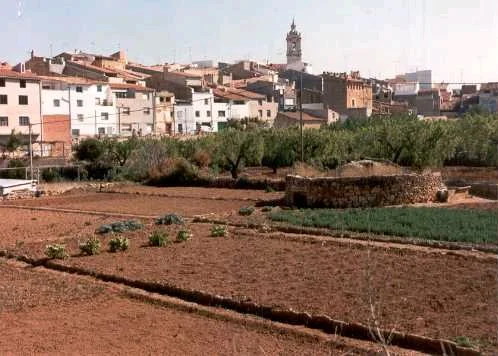 Photo of Albocàsser