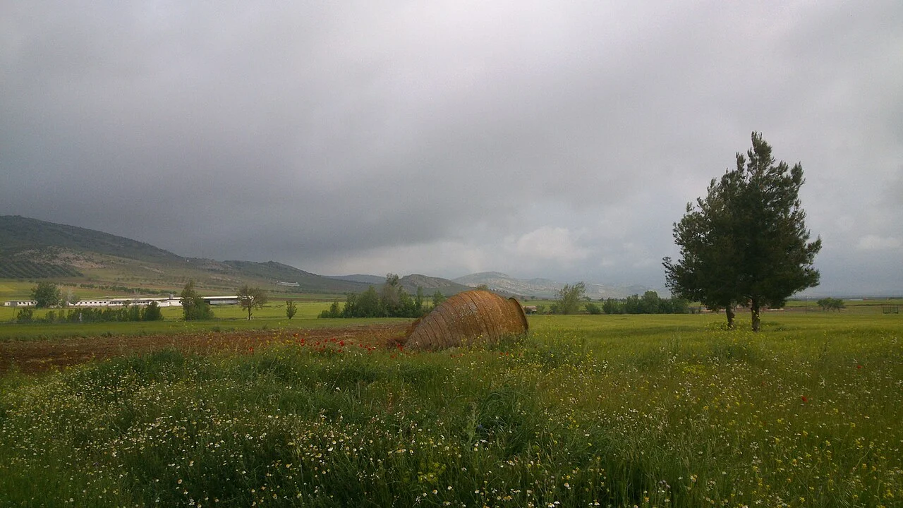 Photo of Aldea del Rey