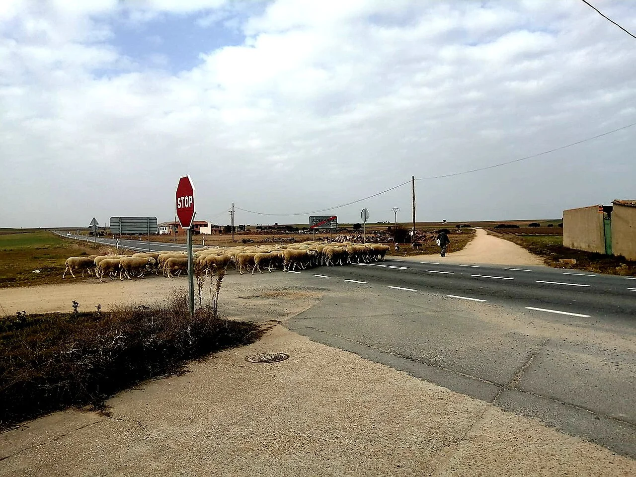 Photo of Aldeanueva del Codonal