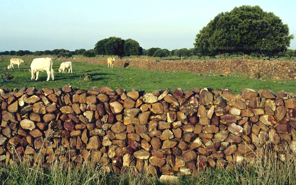 Photo of Aldehuela de Yeltes