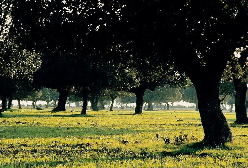 Photo of Aldehuela de Yeltes