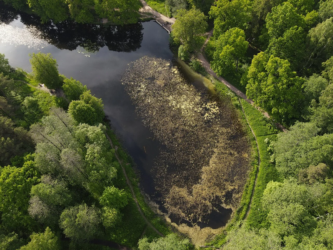 Photo of Aleksandriya