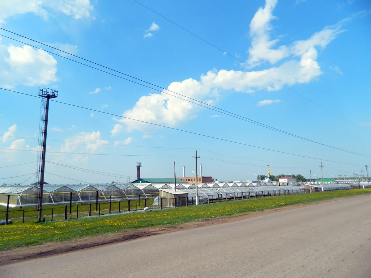 Photo of Alekseyevka