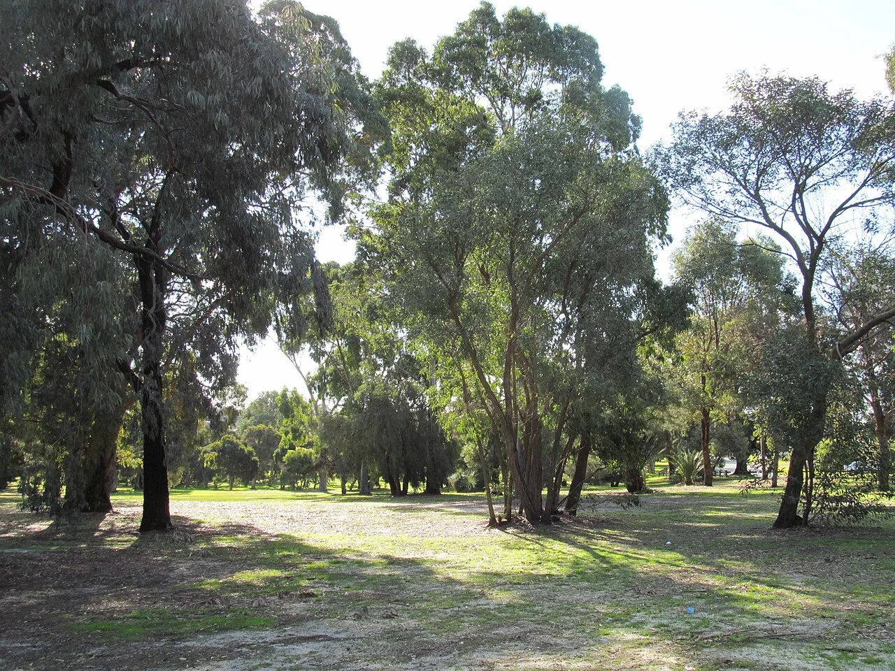 Photo of Alexander Heights