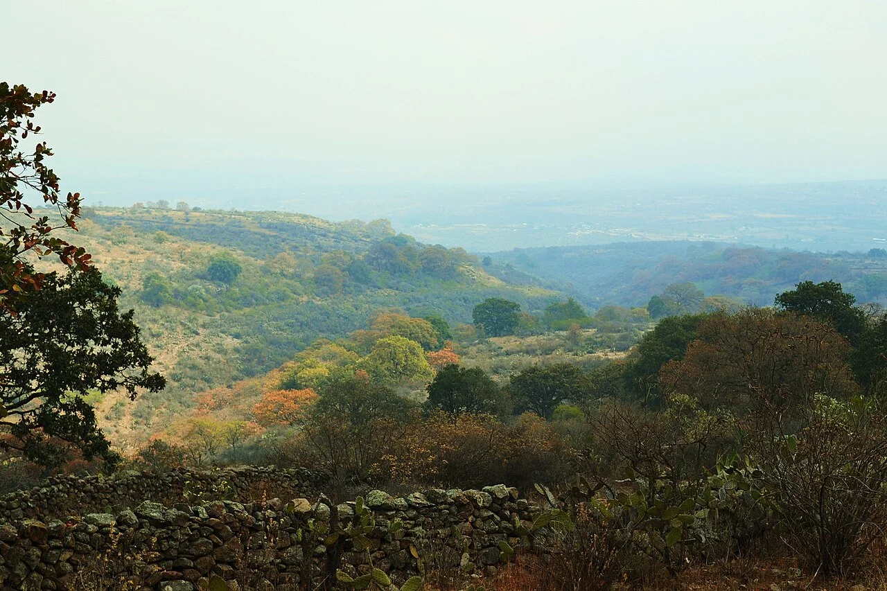 Photo of Alfajayucan