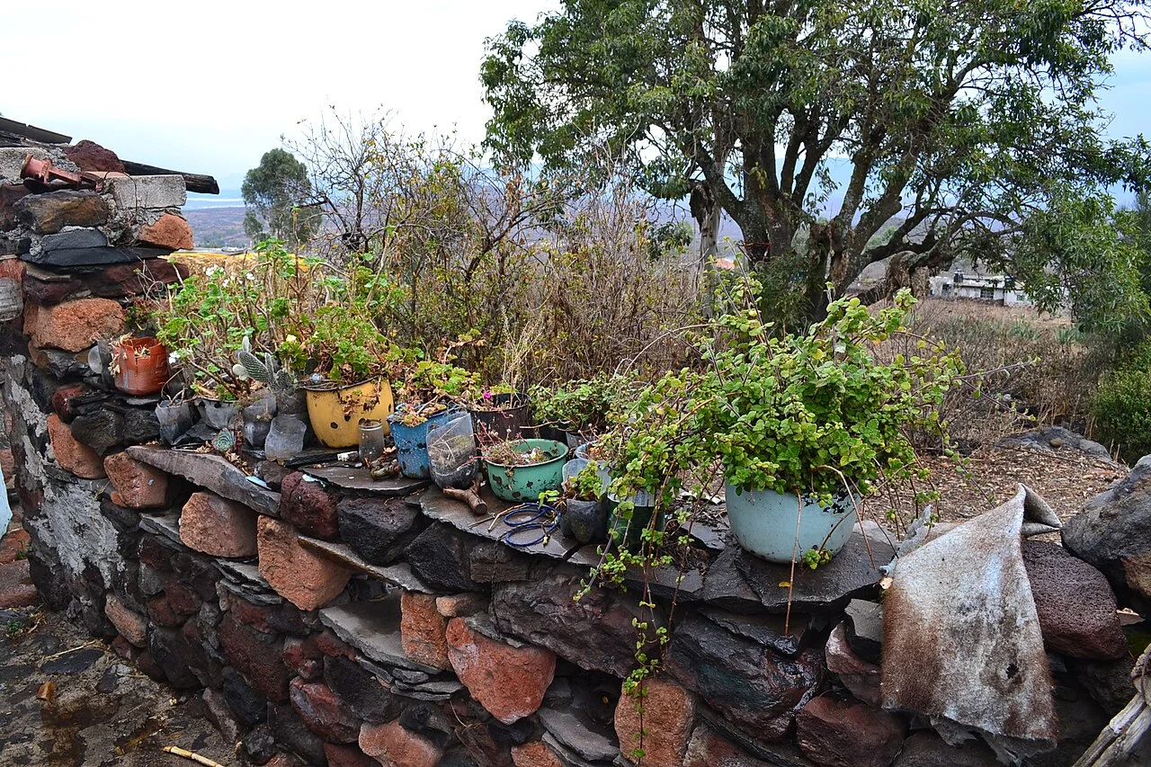 Photo of Alfajayucan