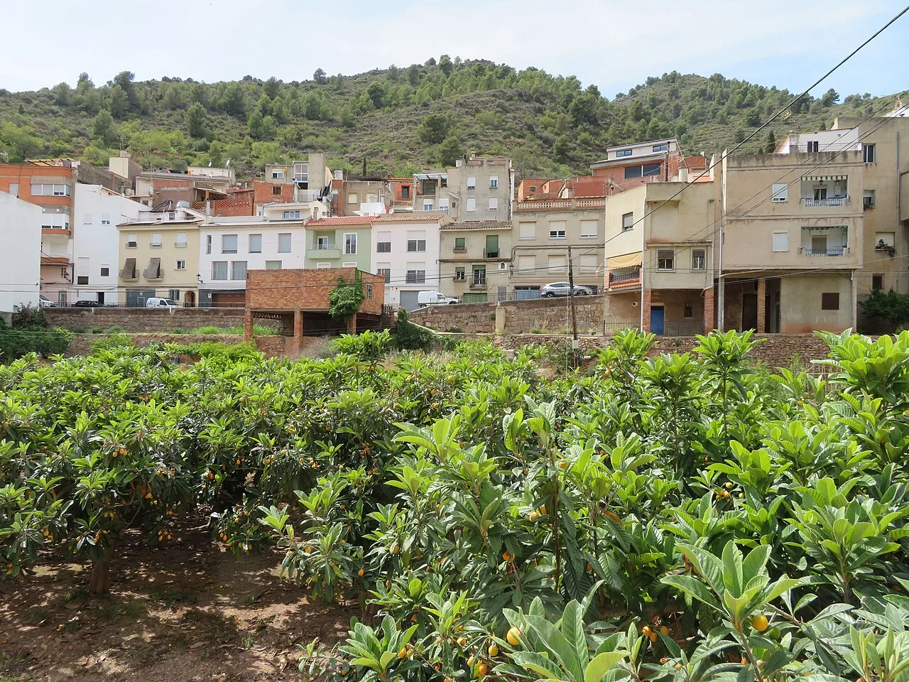 Photo of Alfondeguilla