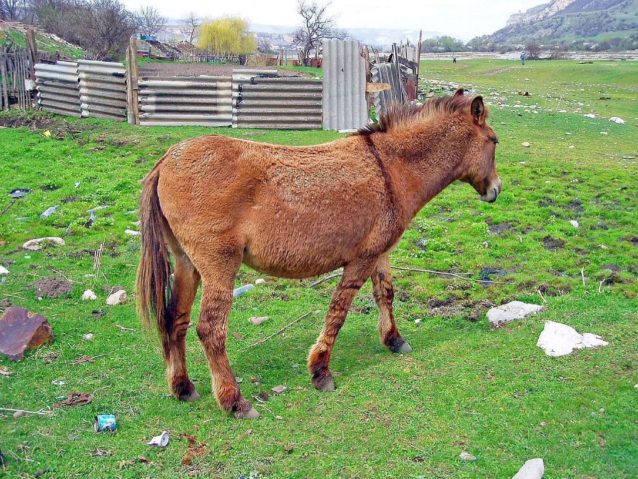 Photo of Ali-Berdukovskiy