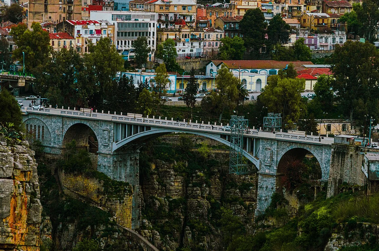 Photo of Ali Mendjeli