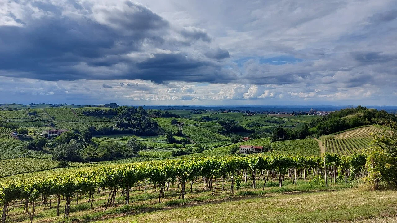 Photo of Alice Bel Colle