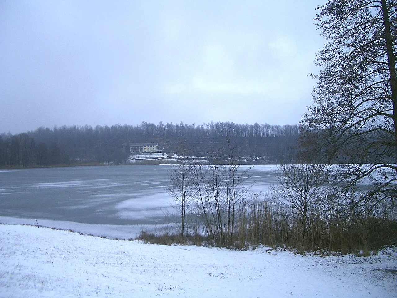 Photo of Alice Superiore