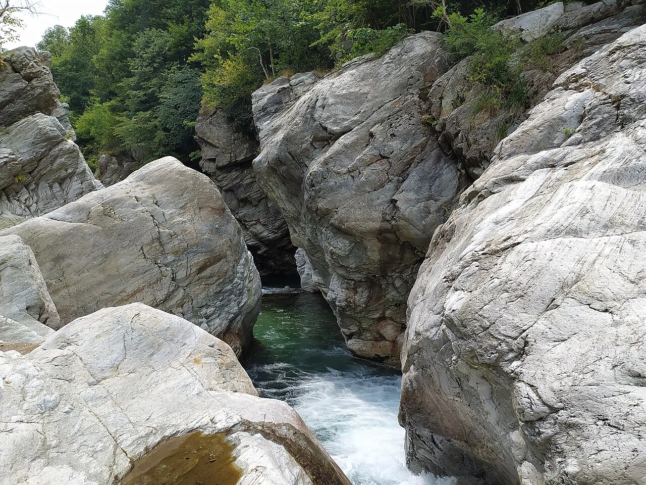 Photo of Alice Superiore