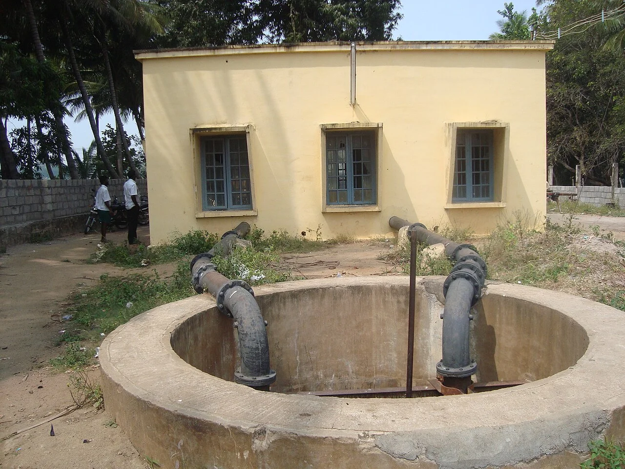 Photo of Allinagaram