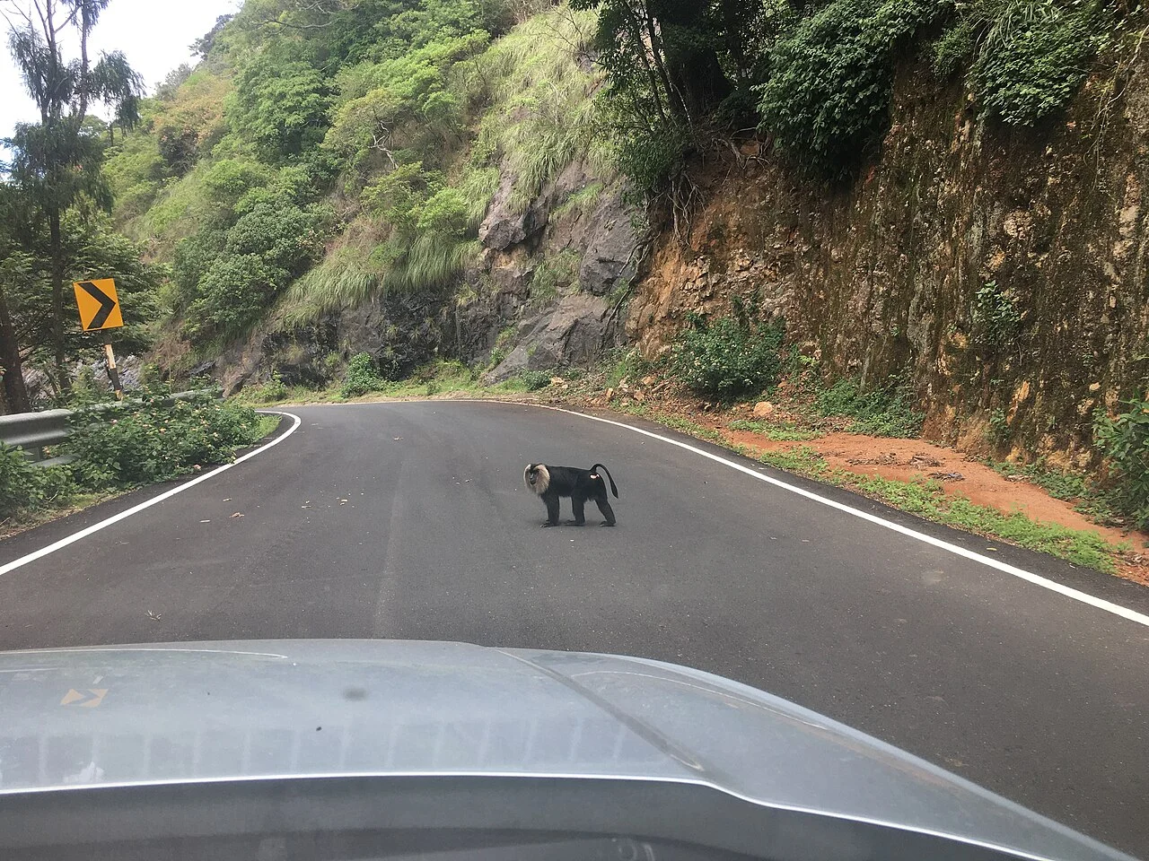 Photo of Allinagaram