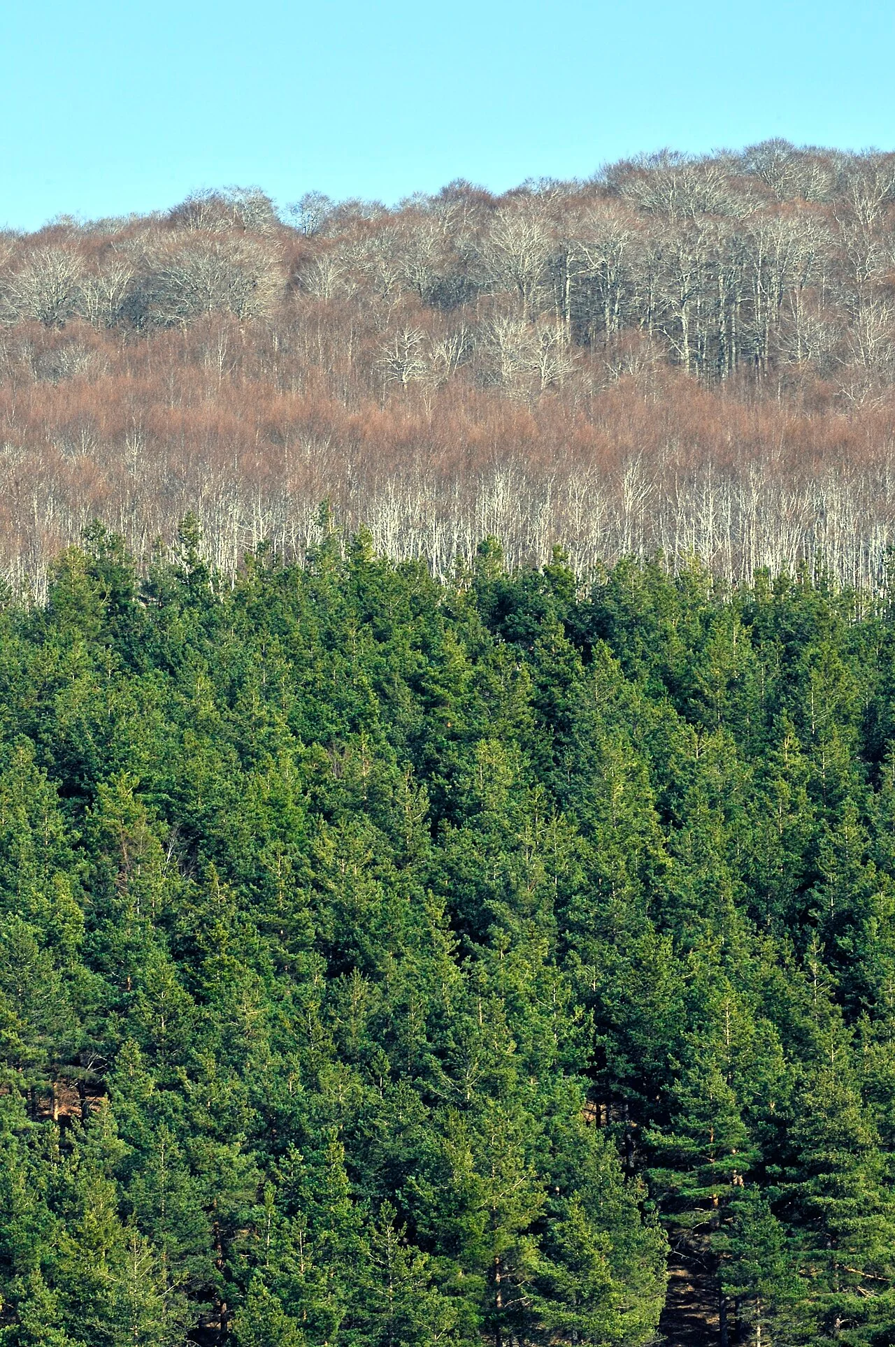 Photo of Almarza de Cameros