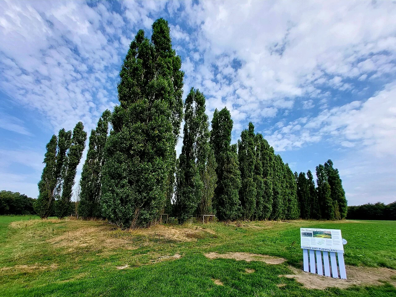 Photo of Almere Stad