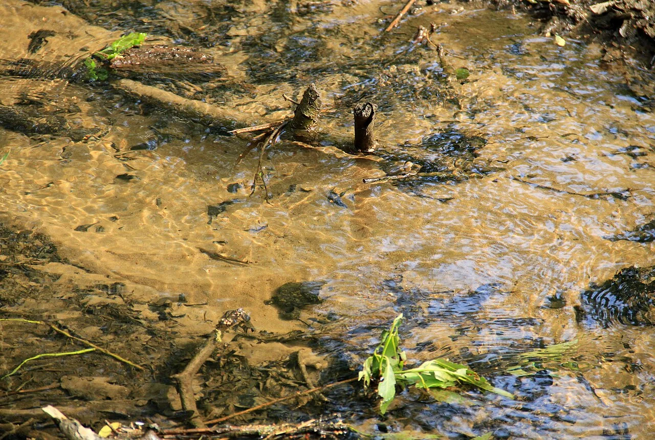 Photo of Altenmedingen